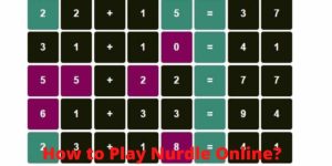 Play Nurdle Online