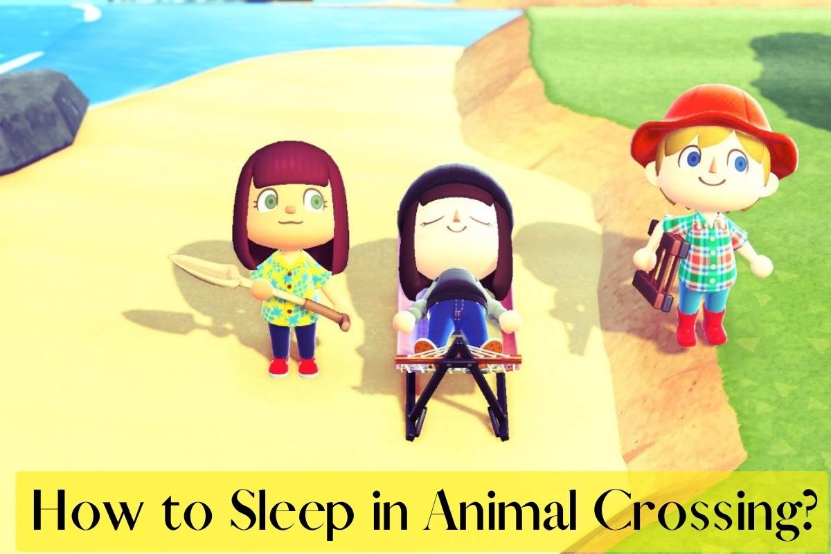 How to Sleep in Animal Crossing?