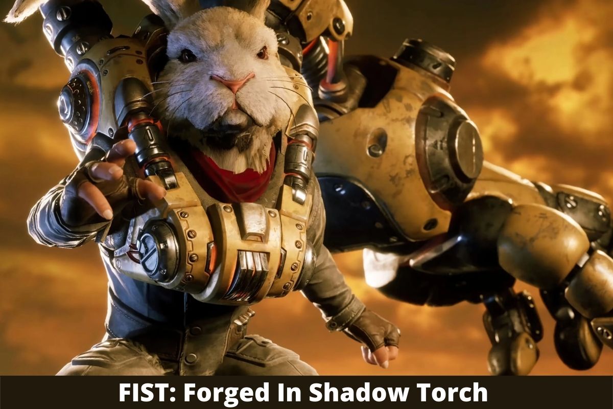 FIST Forged In Shadow Torch