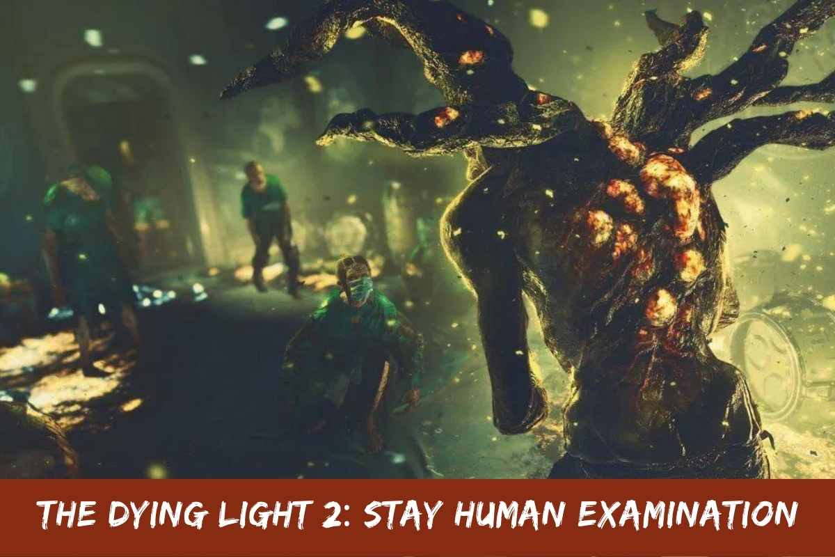 The Dying Light 2 Stay Human Examination