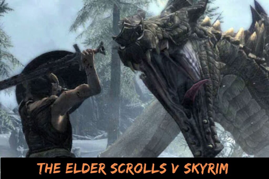 The Elder Scrolls V Skyrim