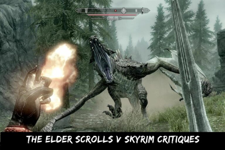The Elder Scrolls V Skyrim Critiques