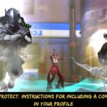 Overwatch 2 SMS Protect Instructions For Including A Contact Information In Your Profile