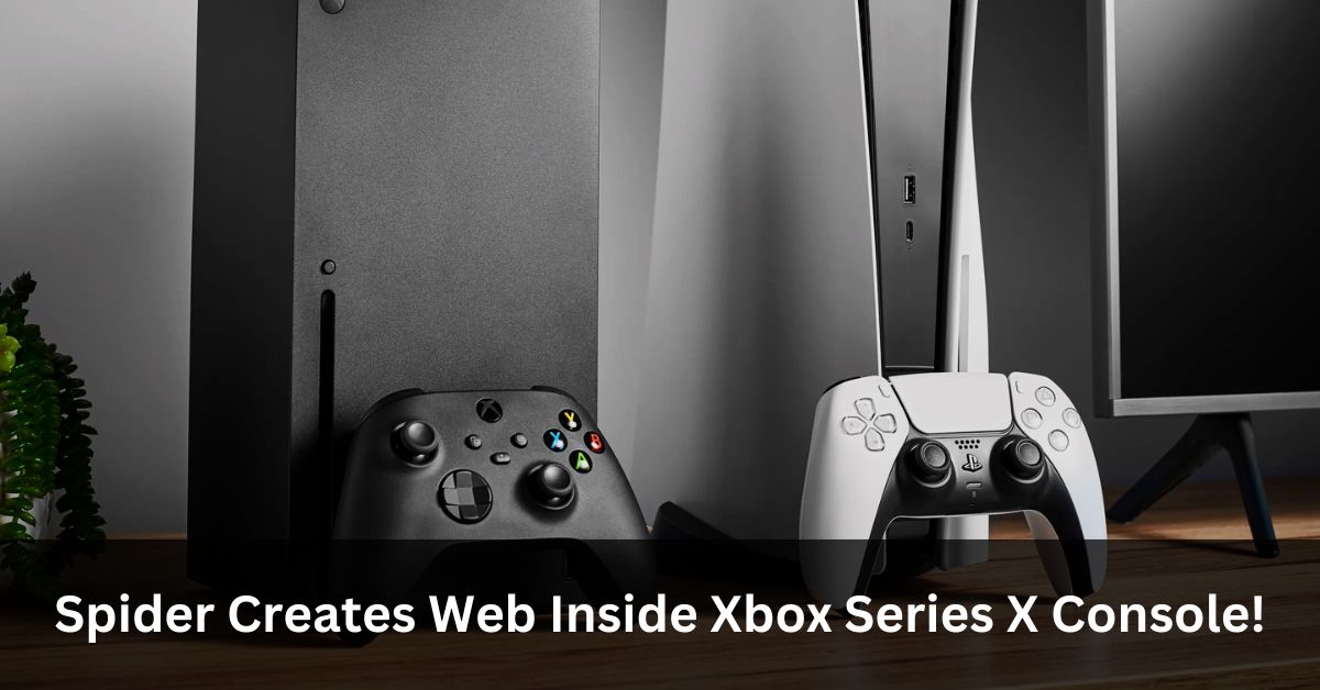 Spider Creates Web Inside Xbox Series X Console!