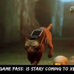Stray Xbox Game Pass Is Stary Coming To Xbox Or Not