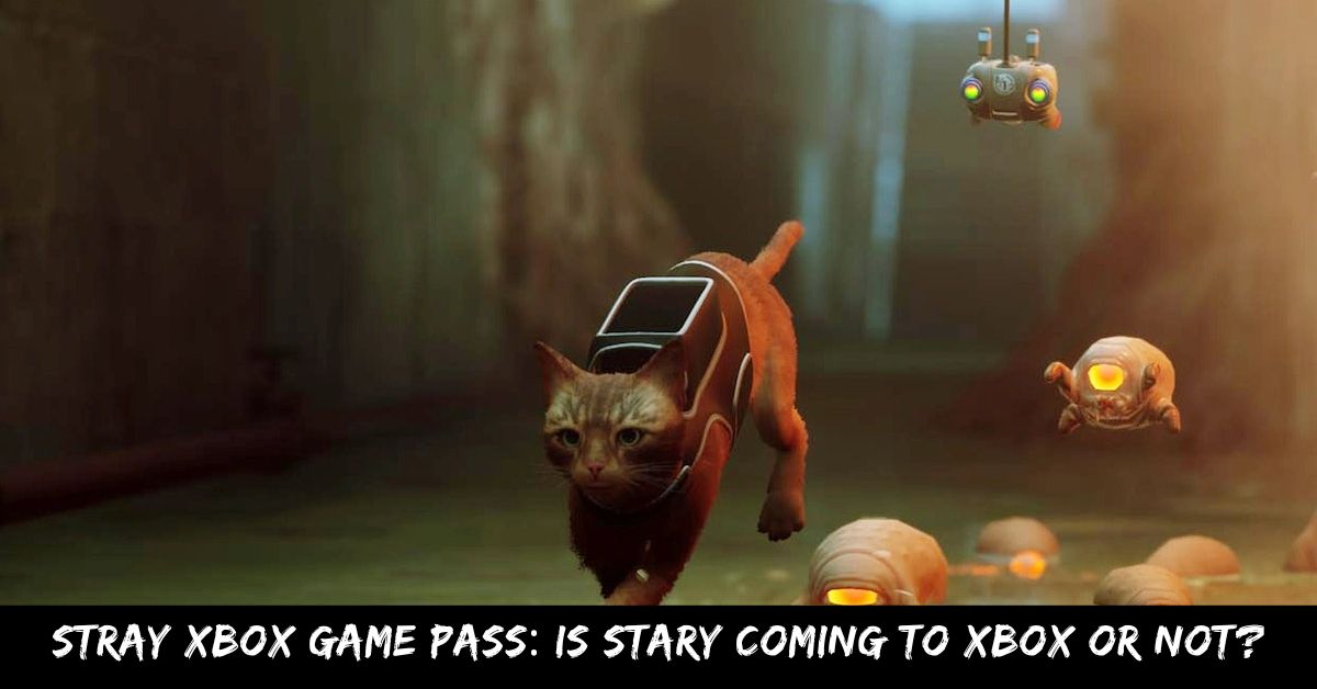 Stray Xbox Game Pass Is Stary Coming To Xbox Or Not