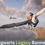 Hogwarts Legacy Banned