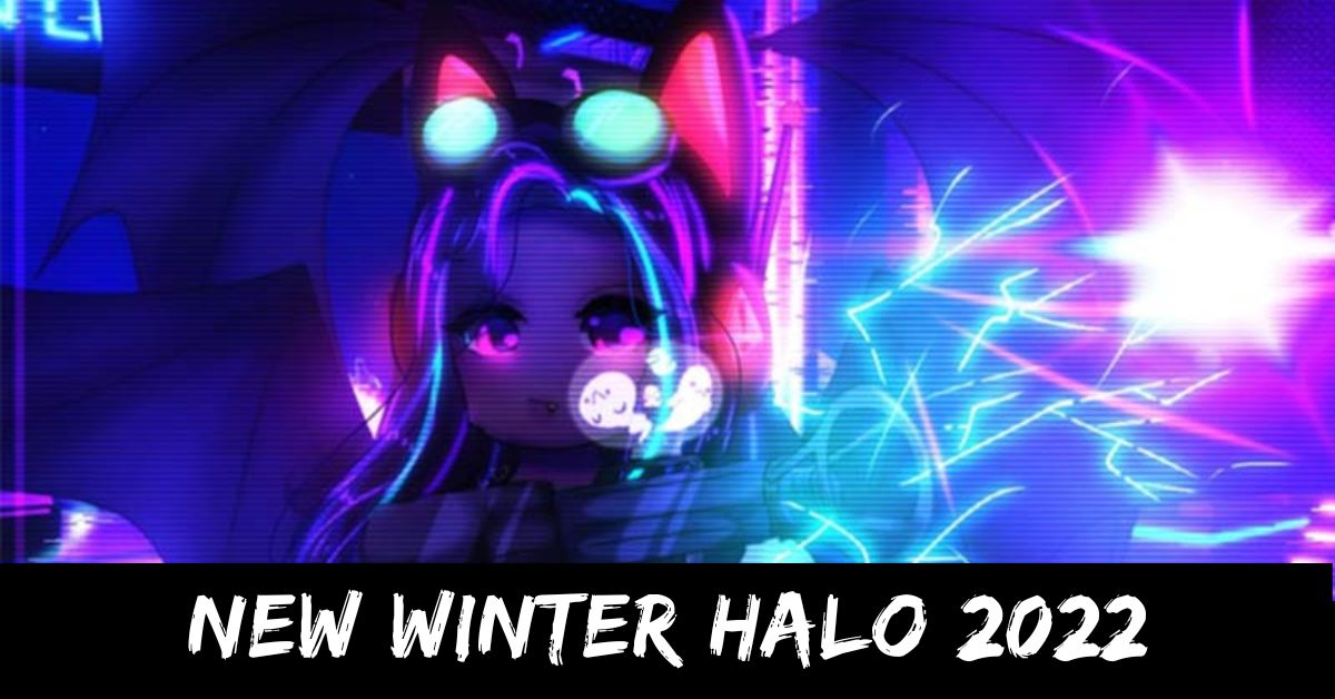 New Winter Halo 2022