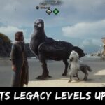 Hogwarts Legacy Levels Up Update