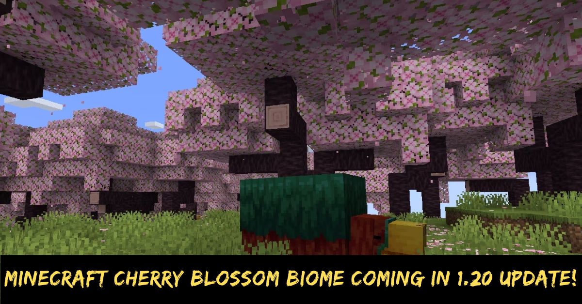 Minecraft Cherry Blossom Biome Coming in 1.20 Update!