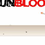 Gunblood Cheat Codes