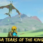 Zelda Tears of the Kingdom