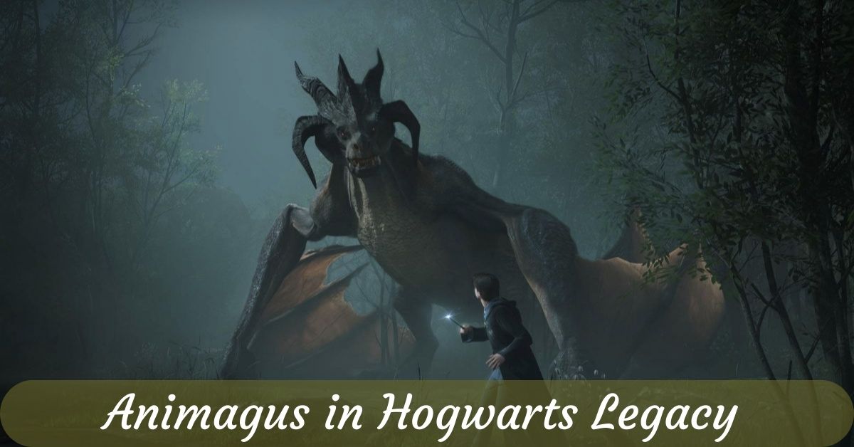 Animagus in Hogwarts Legacy