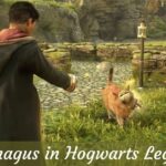 Animagus in Hogwarts Legacy