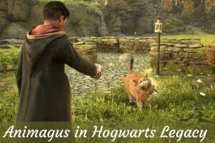 Animagus in Hogwarts Legacy