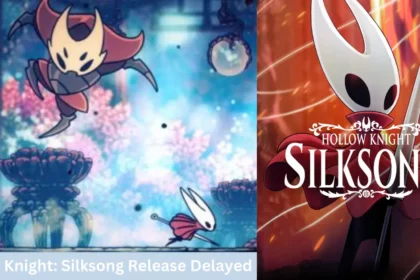 Hollow Knight Silksong release delayed