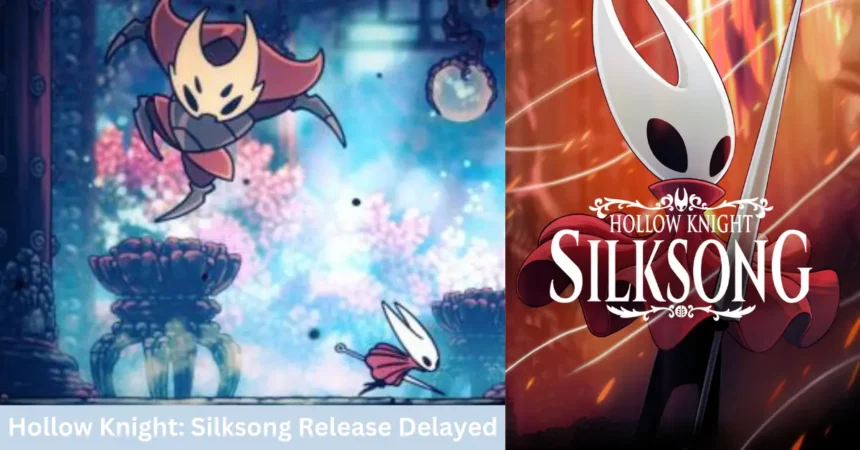 Hollow Knight Silksong release delayed