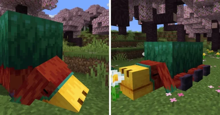 1.20 Minecraft Update