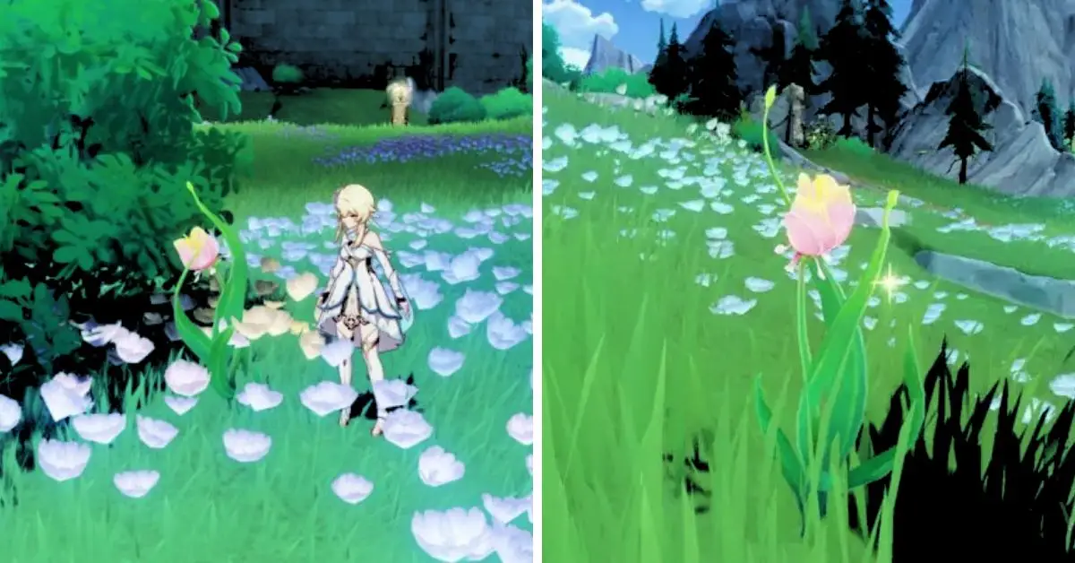 Genshin Impact: Where to Find Rainbow Roses in Fontaine