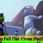 Is Human Fall Flat Cross Platform?