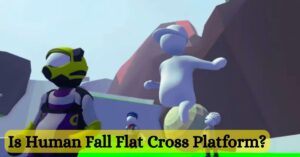 Is Human Fall Flat Cross Platform?
