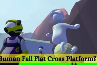 Is Human Fall Flat Cross Platform?