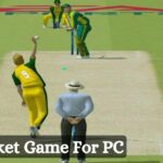 Best Cricket Game For PC