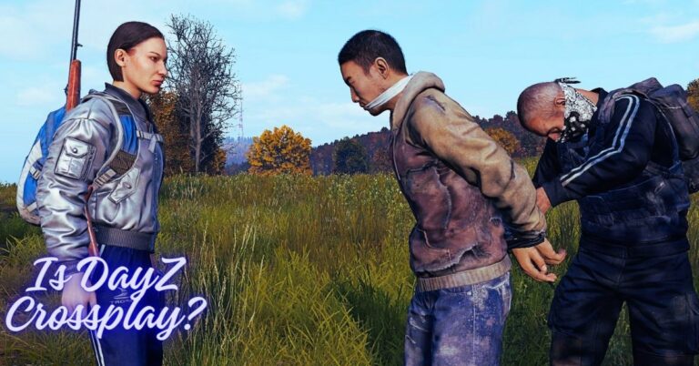 Is DayZ Crossplay