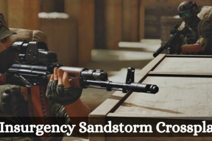 Is Insurgency Sandstorm Crossplay?