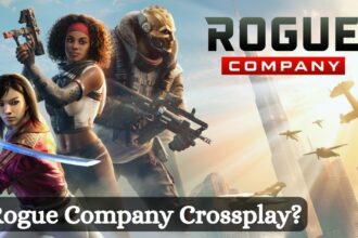 Is Rogue Company Crossplay?