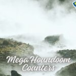 Mega Houndoom Counters