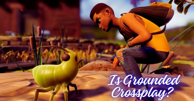 Is Grounded Crossplay