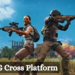 Is PUBG Cross Platform