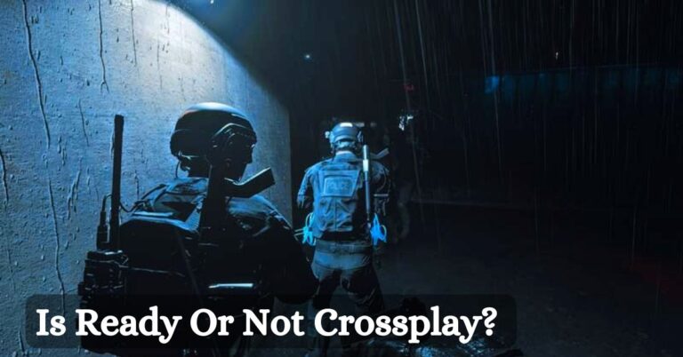 Is Ready Or Not Crossplay