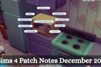 Sims 4 Patch Notes December 2023
