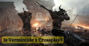 Vermintide 2 Crossplay
