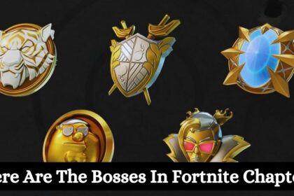 Where Are The Bosses In Fortnite Chapter 5?