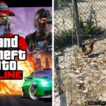 GTA Online Hen Location Revealed (1)