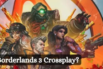 Is Borderlands 3 Crossplay?