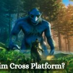 Is Valheim Cross Platform?