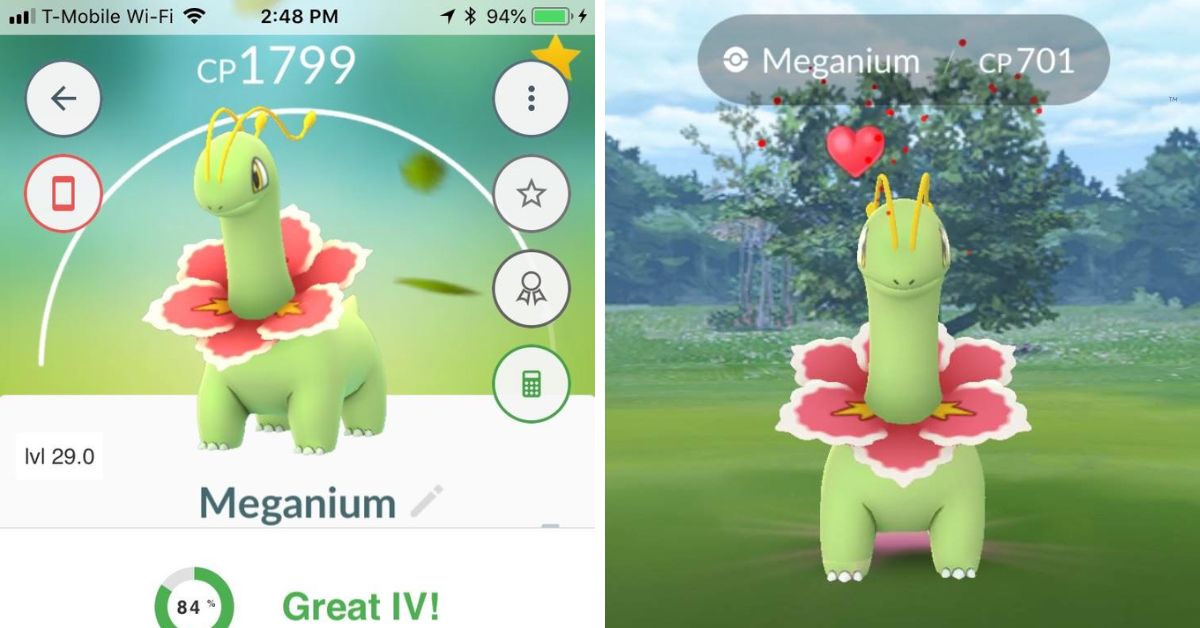 Meganium Pokemon Go (1)