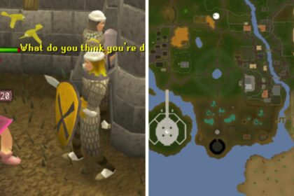 RS3 Thieving Guide