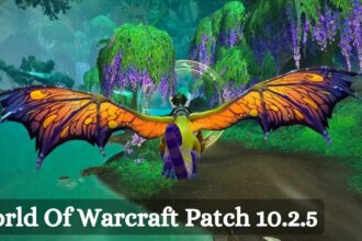 world of warcraft patch 10.2.5