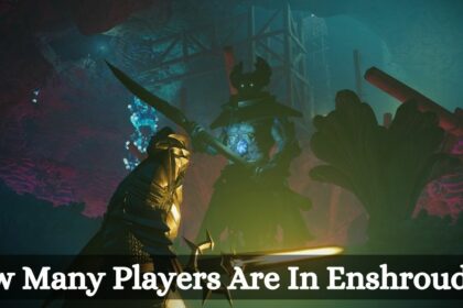 How Many Players Are In Enshrouded?