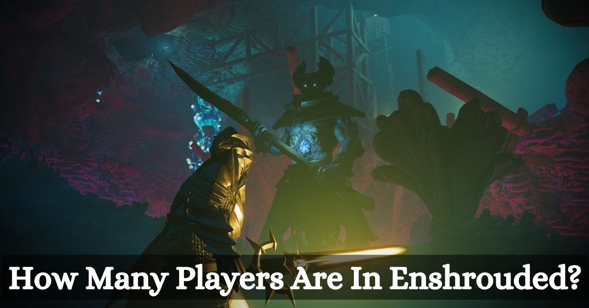 How Many Players Are In Enshrouded?