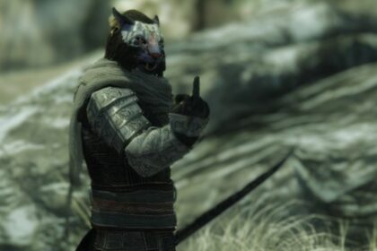 Skyrim Top 10 Follower Mods