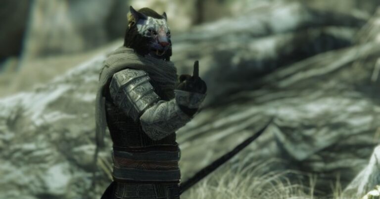 Skyrim Top 10 Follower Mods