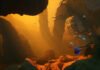Best 4K Settings for Subnautica 2 for Max FPS 4K Settings for Subnautica 2