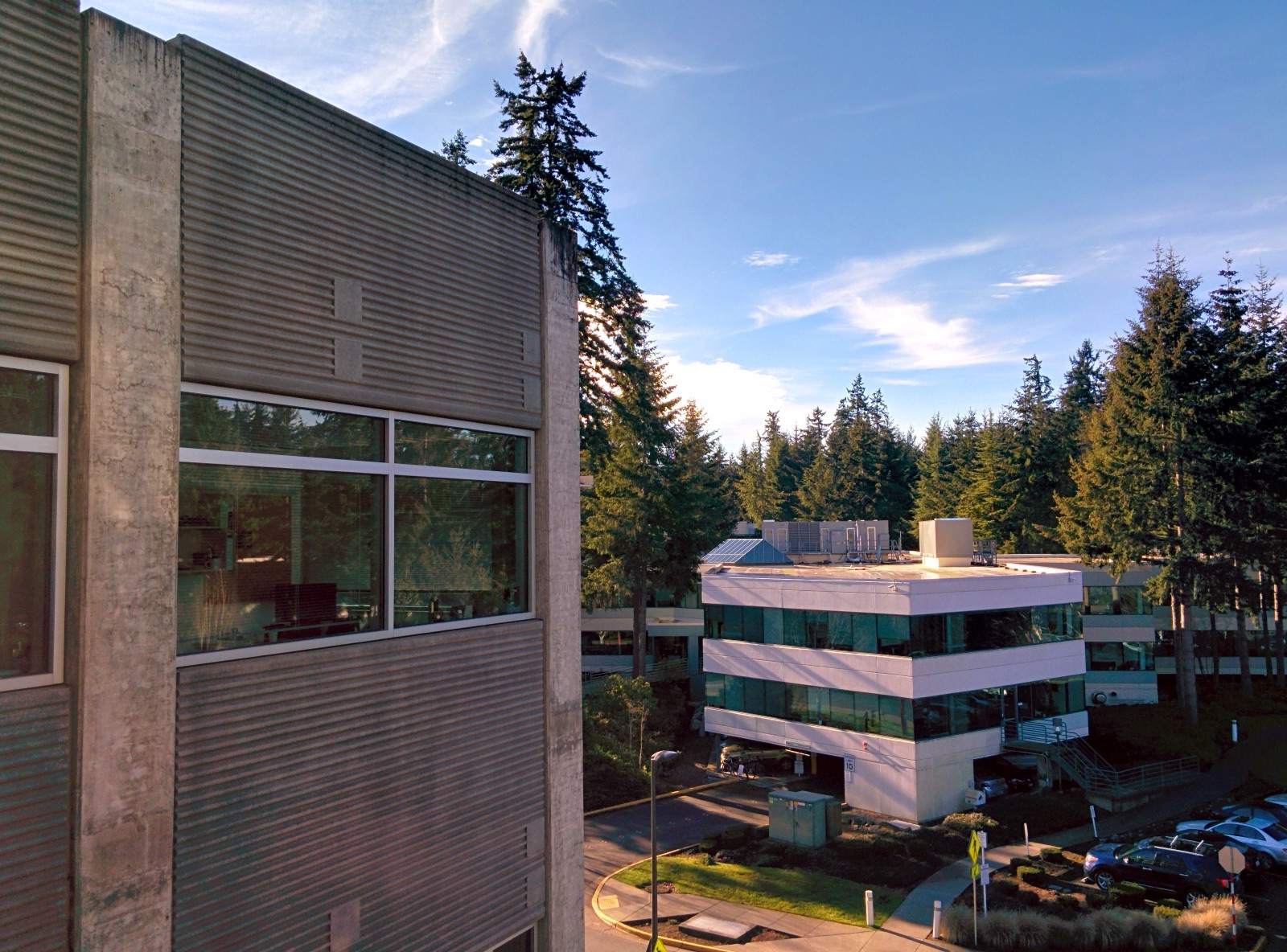 Office buildings among tall evergreen trees on Microsoft’s campus in Redmond, Washington